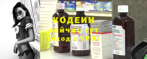 крисы Бронницы