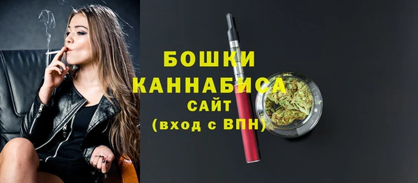 шишки Усинск