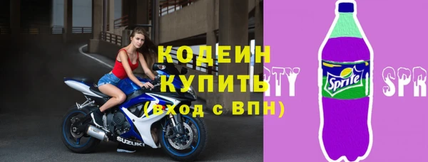твердый Бородино