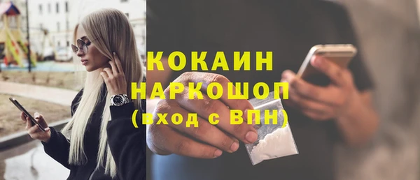 твердый Бородино