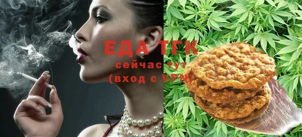 твердый Бородино