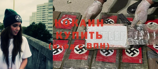 крисы Бронницы