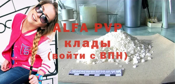 твердый Бородино