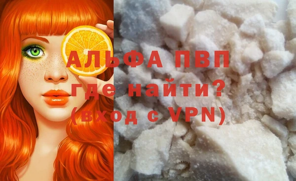 твердый Бородино