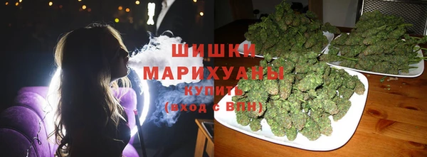 твердый Бородино
